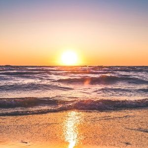 Meet your Posher, Dee